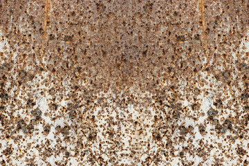 Rustic brown old iron sheet for texture background