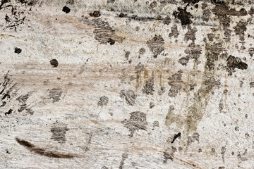 Top view of old wooden plank with scattered black spots for texture background