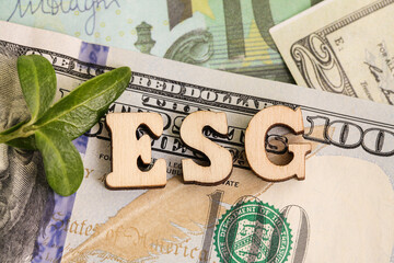 ESG. Environmental, Social, and Corporate Governance. Dollar Banknote Money Texture