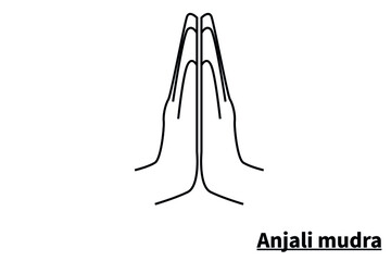 Anjali mudra, isolated on white background. Meditation technique for health. Correct placement of the fingers. Vector