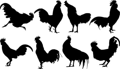 Rooster Silhouettes Rooster SVG EPS PNG