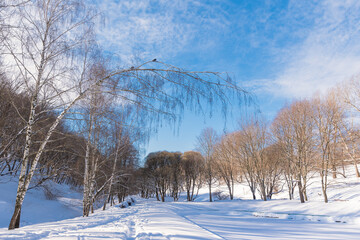 Winter park. A narrow path winds between trees and a snow-covered pond. Museum-reserve Kolomenskoye. Moscow, Russia