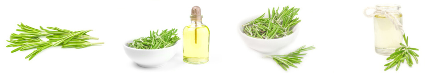 Collage of rosemary on a white background
