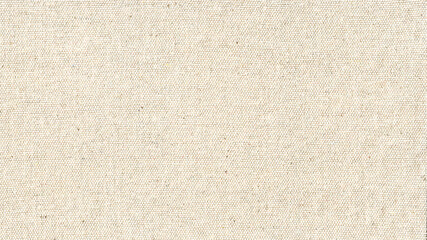 Fototapeta premium The texture of the fabric. Canvas. Without staining. Solid color.