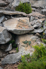 mountains, fog, forest, valley. Carpathians. The mountains are covered with forests and various conifers. On top of the mountains. Rocky Mountains. many large stones