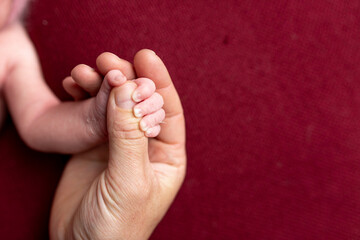 newborn baby holds mom's finger. hand of a newborn baby