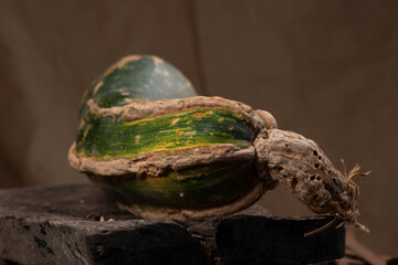 CALABAZA CRIOLLA ALIMENTO MEXICANO NATURAL SALUDABLE