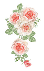 Watercolor dusty rose branch,pink blush rose flower,wedding arragement, bridal shower element,Vintage realistic botanical  rose