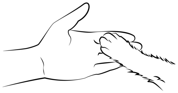 Paw of a puppy or kitten in a human hand