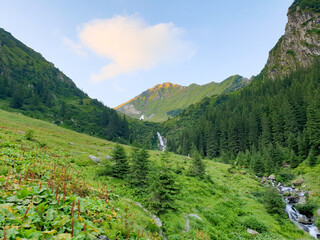 Fototapeta na wymiar Podragu Valley, Fagaras Mountains, Romania 
