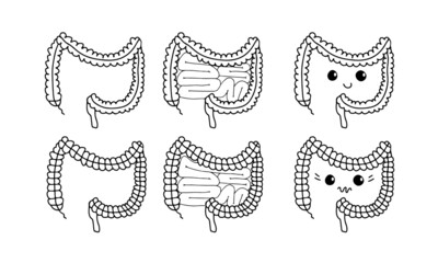 Simple gastrointestinal illustration set of bowel internal system. Healthy gut concept. Human body parts in vector. For probiotics or gastroenterologist field.