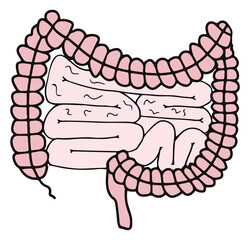 Simple gastrointestinal illustration of bowel internal system filled with parasites or bacteria. Healthy gut concept. Human body parts in vector. For probiotics or gastroenterologist field.