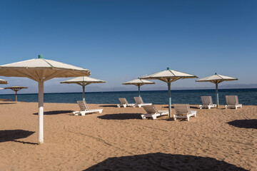 wooden beach umbrellas and sun loungers by the red sea in bright sunny day
