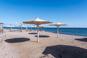 wooden beach umbrellas and sun loungers by the red sea in bright sunny day