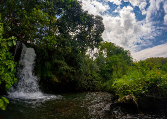 Fototapeta na wymiar View of a waterfall hidden in a forest located in the north of Mauritius island