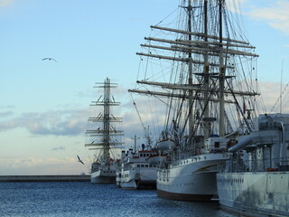 sailing ships in the harbor