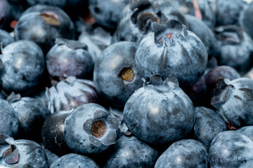 many blueberry berries one isolated on white background