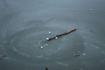 Stick floating in the frozen lake, Toronto, CA