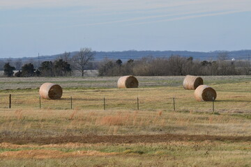 Hay Bales in a Farm Field