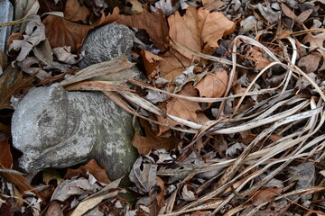 Squirrel Statue by Dry Autumn Leaves