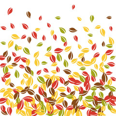 Falling autumn leaves. Red, yellow, green, brown c
