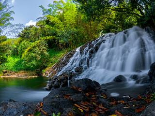 Long exposure view of Kalpatia waterfall hidden in a forest located in the south of Mauritius island