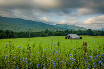 Rural scene with farm fields and barn in the mountains of West Virginia - obrazy, fototapety, plakaty