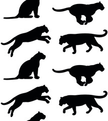 Vector seamless pattern of tigers silhouette isolated on white background