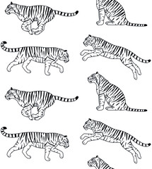 Vector seamless pattern of outline hand drawn flat tigers isolated on white background