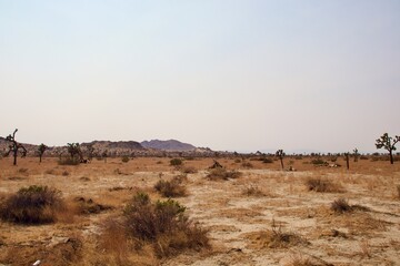 Mojave Desert Landscape Located in Southern California During Sunset