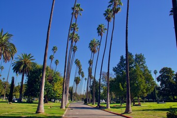 Hollywood Forever Cemetery On Sunny Day Located In Southern California