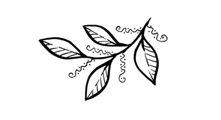 Monochrome Floral botanical isolated Leaf illustration element. Line art hand drawing Leave on white background for frame or border, backdrop, texture, wrapper pattern