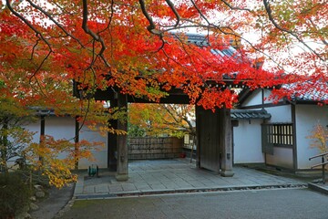 Naklejka premium 龍安寺の山門
