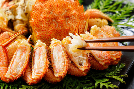 毛蟹　Horsehair Crab In Hokkaido, Japan