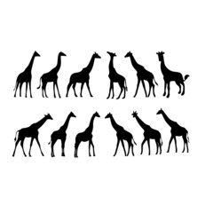 silhouette giraffe animals illustration design