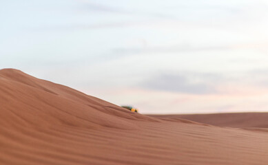 Fototapeta na wymiar Close up shot of a sand dune. Nature