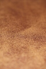 coffee beans background