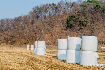 Hay bales wrapped in white plastic.
