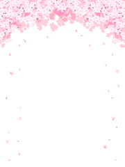 満開の桜　フレーム・背景素材（縦向き）