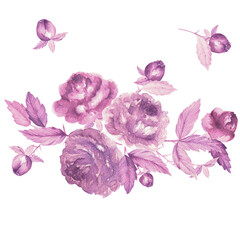 The drawing is watercolor, transparent, roses with buds and leaves. Flower pattern for printing on postcards, wedding invitations, decoration © Елена Устьянцева