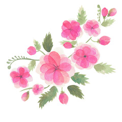 Watercolor transparent flower set, isolated on white collection of flowers,buds, leaves, branches, a bunch of pastel pink, botanical illustration for postcards, packaging decor, wedding design © Елена Устьянцева