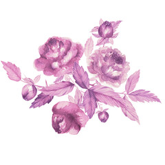 Watercolor drawing, transparent, roses with buds and leaves. Floral pattern for printing on postcards, wedding invitations, product design © Елена Устьянцева