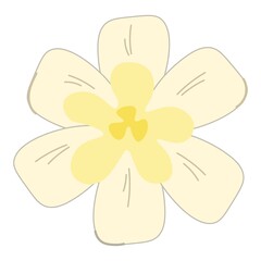 Delicate vanilla flower. Pastel shades. Close-up illustration. Blooming vanilla flower with green leaves isolated on white background vector decorative element.