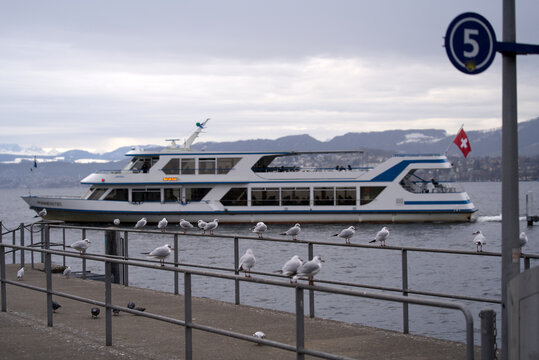 Passenger ship on lake Zürich on a cloudy and rainy winter day with Swiss Alps in the background. Photo taken December 24th, 2021, Zurich, Switzerland.