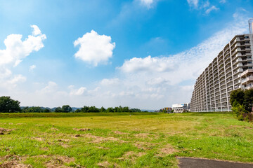 公園/原っぱ