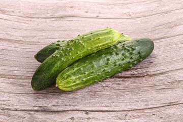 Fersh juicy green cucumbers heap