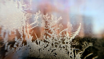 frost on the window