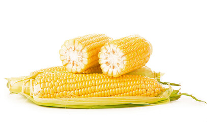 Corn cobs on white background. raw corn with green leaves on a white background