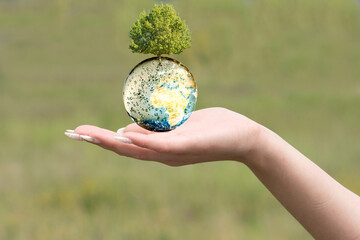 Planet Erde, Baum und Umweltschutz