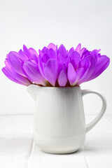 Bouquet of purple flowers Colchicum autumnale in vase on white background